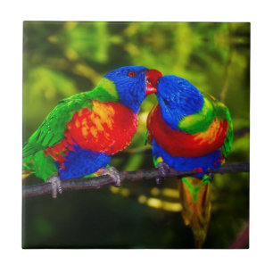 Colorful Couple of Parrots Tegeltje