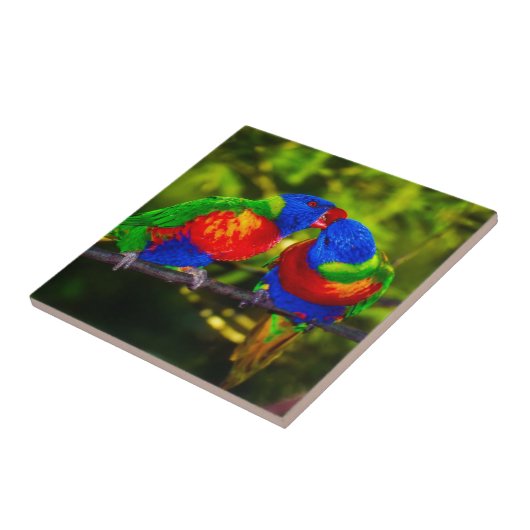 Colorful Couple of Parrots Tegeltje (Zijkant)