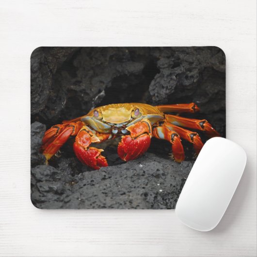 Colorful Crab Muismat (Met muis)