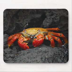 Colorful Crab Muismat
