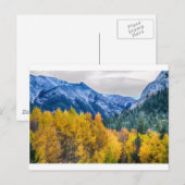 Colorful Crested Butte Colorado Briefkaart (Voorkant / Achterkant)