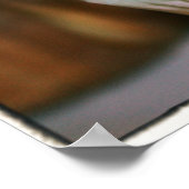 Colorful Cupcakes Poster (Hoek)