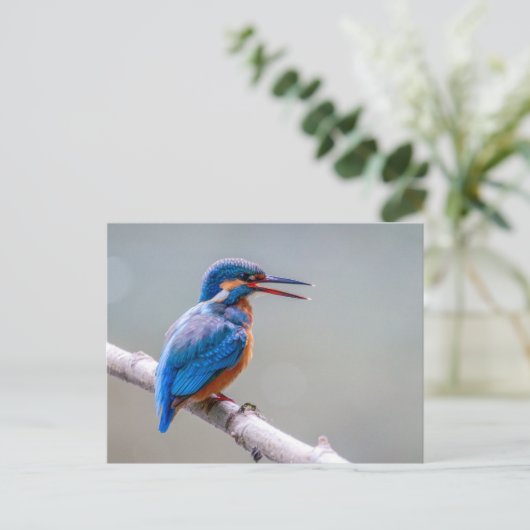 Colorful Cute Common Kingfiser Briefkaart (Staand voorkant)