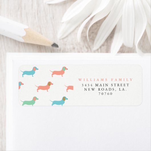 Colorful Dachshund Etiket (Insitu)