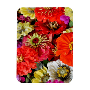 Colorful dahlia bloemen magnet magneet