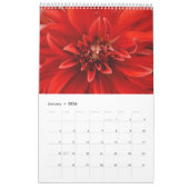 Colorful dahlia kalender (Jan 2026)