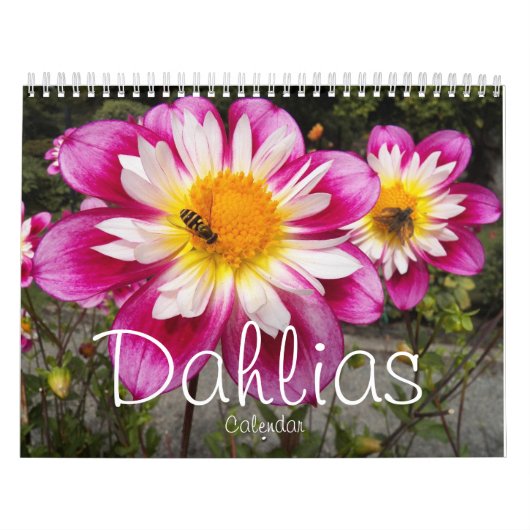 Colorful Dahlias Floral Photographic Kalender (Hoes)