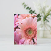 Colorful Daisies Briefkaart (Staand voorkant)