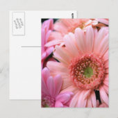 Colorful Daisies Briefkaart (Voorkant / Achterkant)