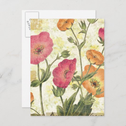 Colorful Daisies Briefkaart (Voorkant / Achterkant)