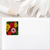 Colorful Daisies Etiket (Insitu)