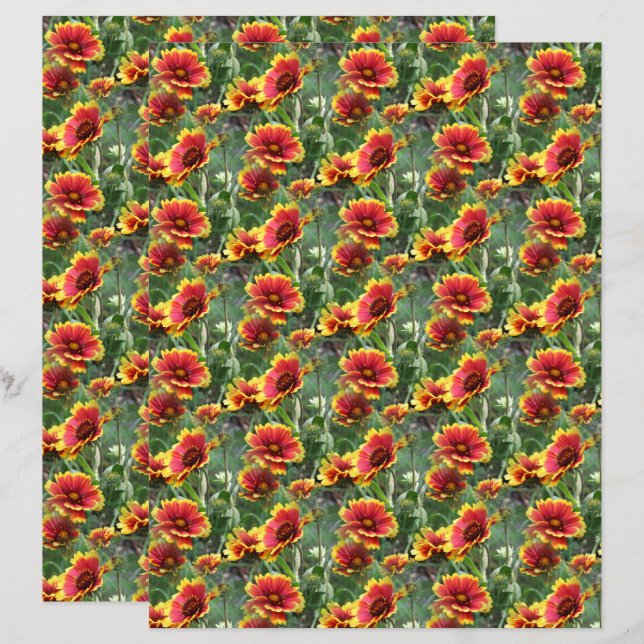 Colorful Daisies Flower Natuur Pattern Scrapbook (Voorkant / Achterkant)