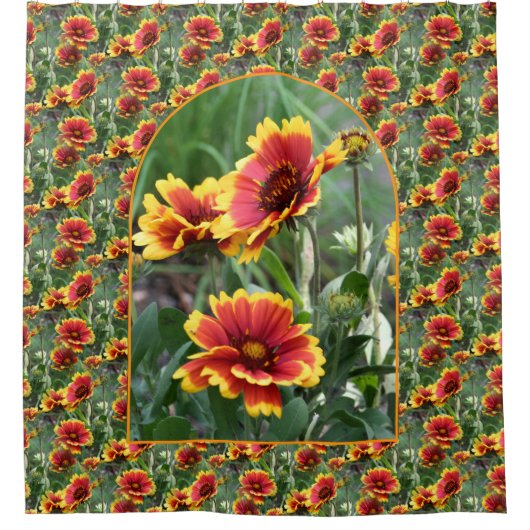 Colorful Daisies Flower Pattern Nature Douchegordijn (Voorkant)
