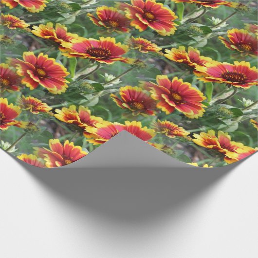 Colorful Daisies Flower Pattern Natuur Cadeaupapier (Hoek)