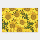Colorful Daisies Inpakpapier Vel (Voorkant)