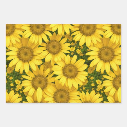 Colorful Daisies Inpakpapier Vel (Voorkant)