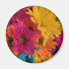 Colorful Daisies Magneet