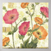 Colorful Daisies Poster (Voorkant)