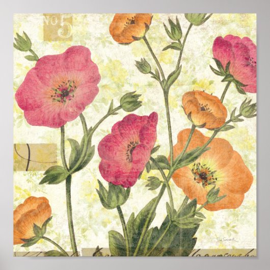 Colorful Daisies Poster (Voorkant)