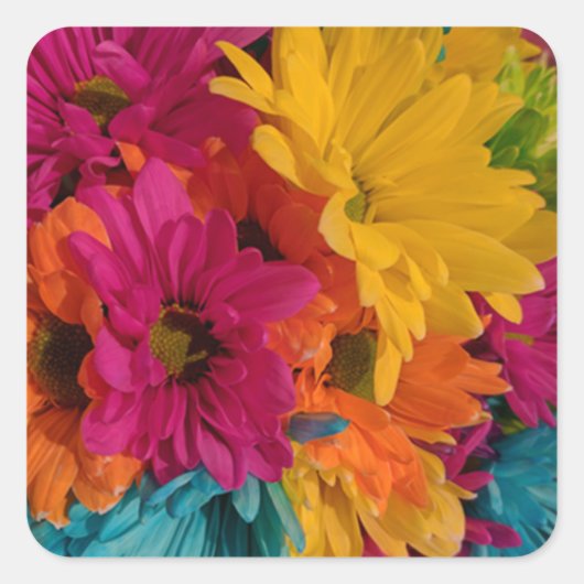 Colorful Daisies Vierkante Sticker (Voorkant)