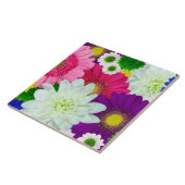 Colorful Daisies, zomerbloei Tegeltje (Zijkant)