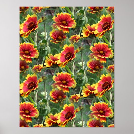 Colorful Daisy Flowers Natuur Patroon Poster (Voorkant)