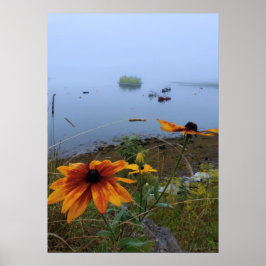 Colorful Daisy, Lubec Maine Poster