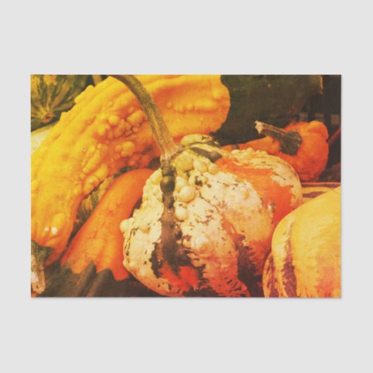 Colorful Decorative Gourds Herfst  ontkoppeling Tissuepapier (Voorkant)