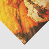 Colorful Decorative Gourds Herfst  ontkoppeling Tissuepapier (Detail)