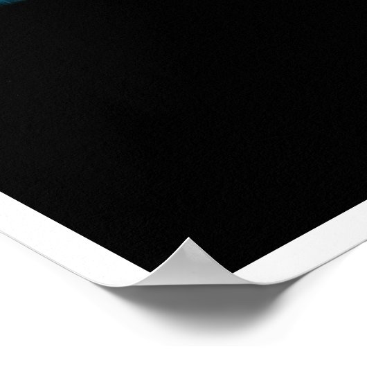 Colorful Disk Golf Basket Poster (Hoek)