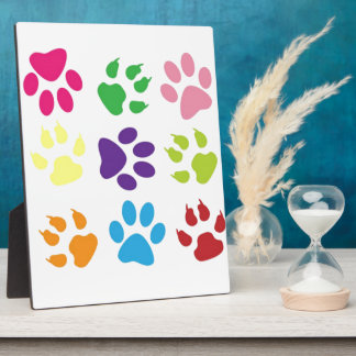 Colorful Dog Paws Fotoplaat