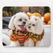 Colorful Dogs Muismat (Voorkant)