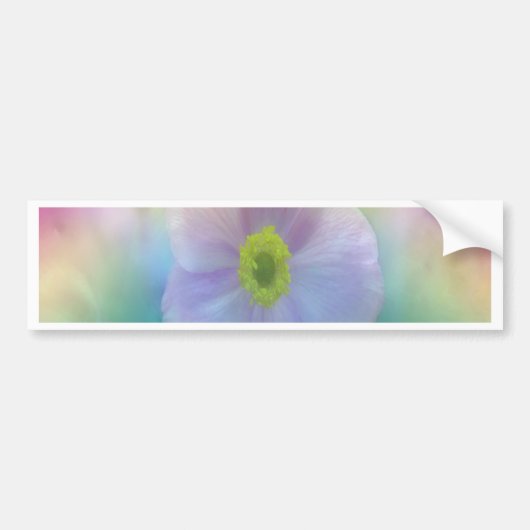 Colorful Dreams Bumpersticker (Voorkant)