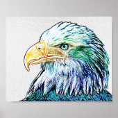 Colorful Eagle Sketch Poster (Voorkant)