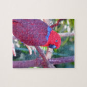 Colorful eclectus parrot legpuzzel (Horizontaal)