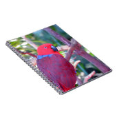 Colorful eclectus parrot notitieboek (Rechterzijde)