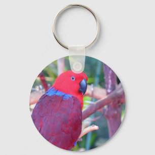 Colorful eclectus parrot sleutelhanger