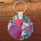 Colorful eclectus parrot sleutelhanger (Voorkant)