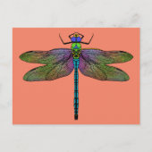 Colorful Emperor Dragonfly Art Briefkaart (Voorkant)