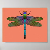 Colorful Emperor Dragonfly Art Poster (Voorkant)