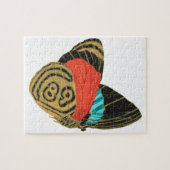 Colorful exotic butterfly  butterfly  legpuzzel (Horizontaal)