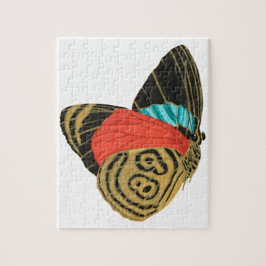 Colorful exotic butterfly  butterfly  legpuzzel (Verticaal)