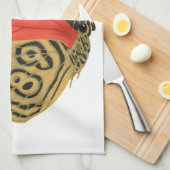 Colorful exotic butterfly  butterfly  theedoek (Quarter Fold)