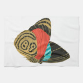 Colorful exotic butterfly  butterfly  theedoek (Horizontaal)