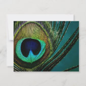 Colorful Exotic Peacock Feather Foto Elegant Chic Notitiekaartje (Achterkant)