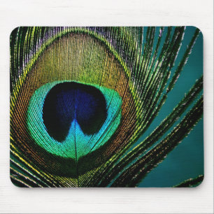 Colorful Exotic Peacock Feather Moderne Photograph Muismat