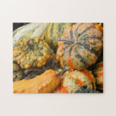 Colorful Fancy Gourds Herfst Legpuzzel (Horizontaal)