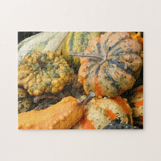 Colorful Fancy Gourds Herfst Legpuzzel (Horizontaal)