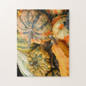 Colorful Fancy Gourds Herfst Legpuzzel (Verticaal)