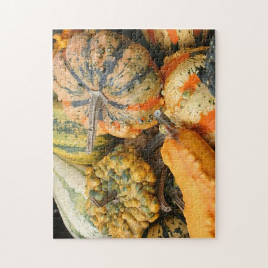 Colorful Fancy Gourds Herfst Legpuzzel (Verticaal)